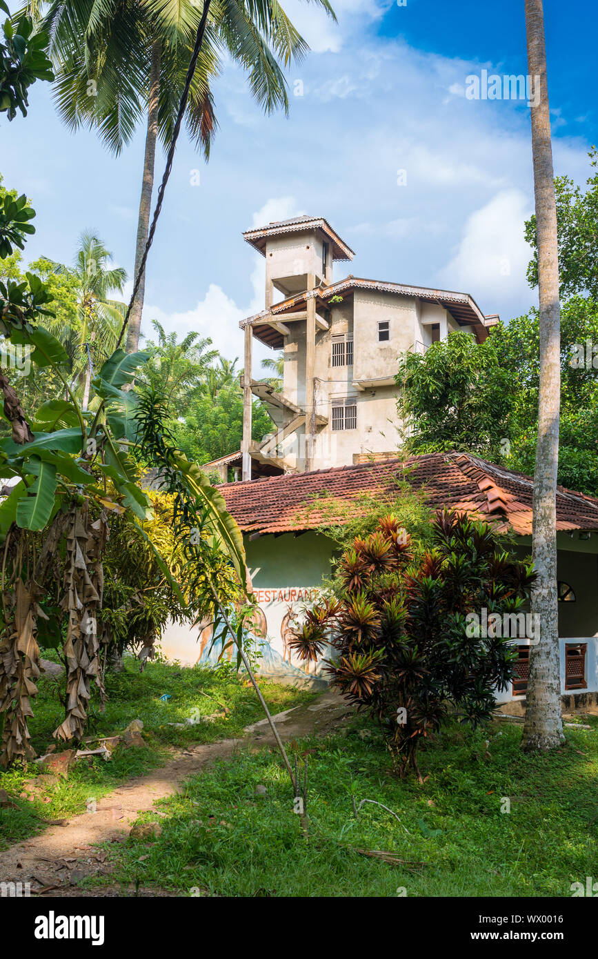 Casa nella giungla della collina Rumassala in Unawatuna in Sri Lanka Foto Stock