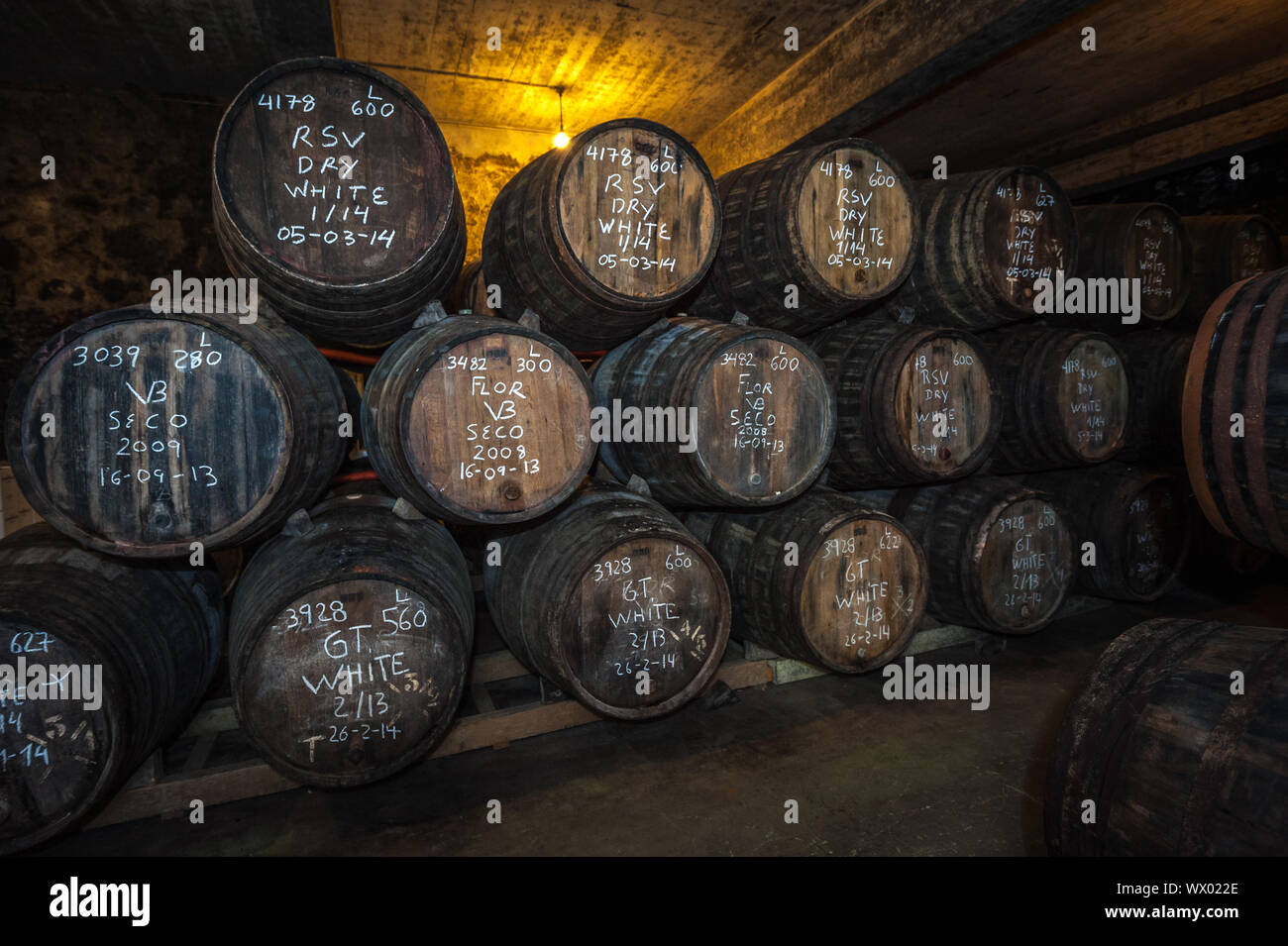 Porta botti di vino nella cantina, Vila Nova de Gaia, Porto, Portogallo Foto Stock