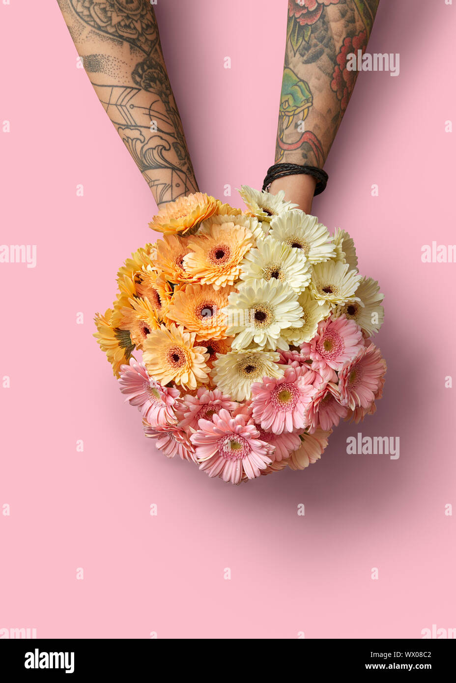 Bel bouquet di differenti gerbere fresche nelle mani di una ragazza su un sfondo rosa Foto Stock