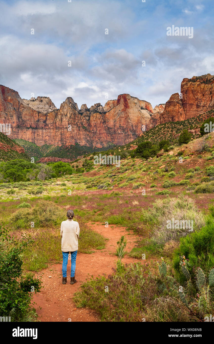 I templi e le torri della Vergine, il Parco Nazionale di Zion, Utah, Stati Uniti d'America, America del Nord Foto Stock