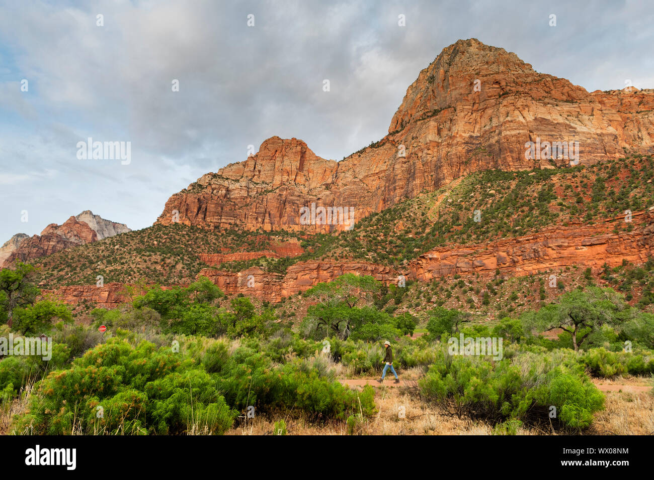 Escursionismo Il Pa'rus trail, Parco Nazionale Zion, Utah, Stati Uniti d'America, America del Nord Foto Stock
