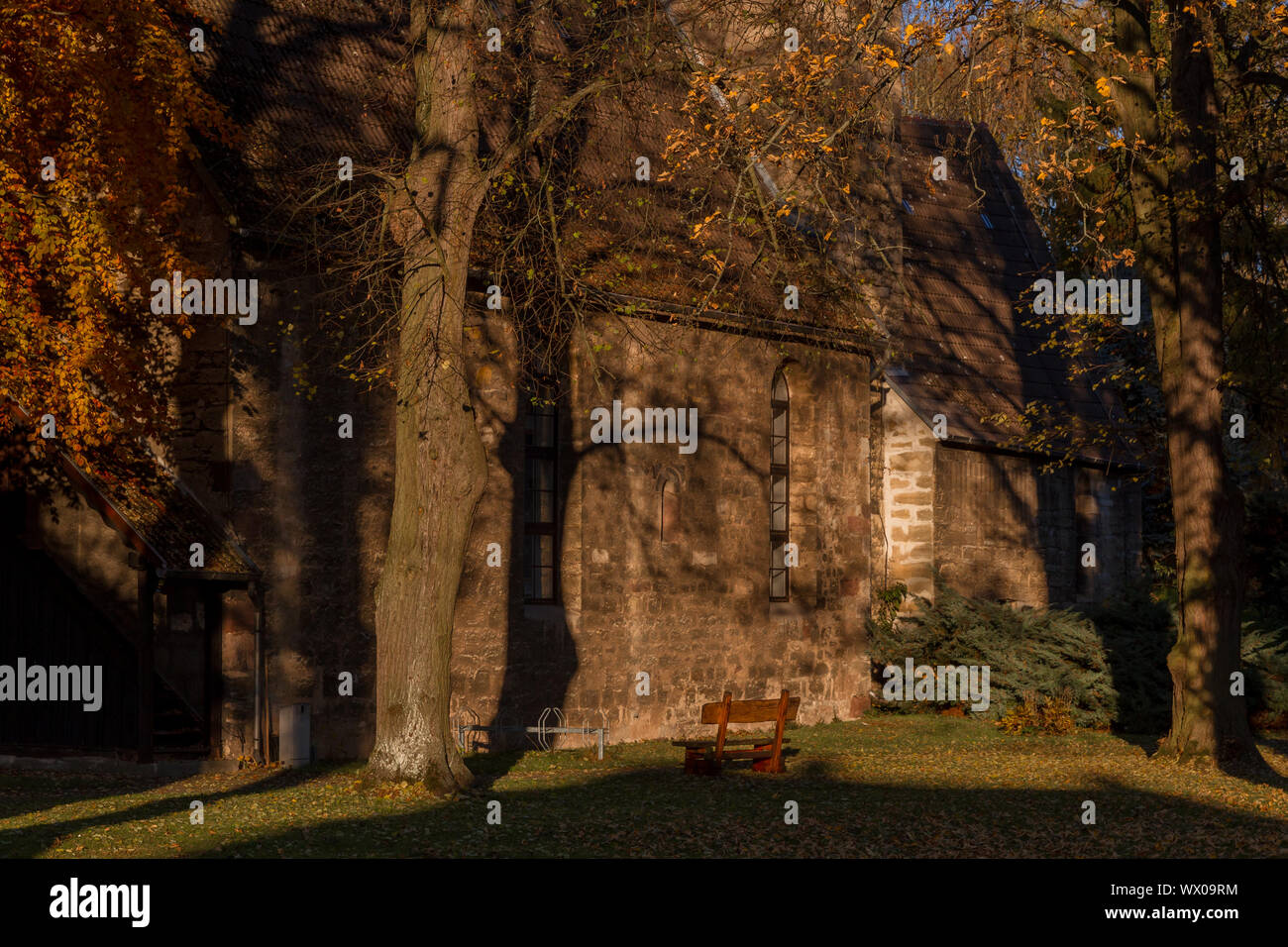 Foresta Turingia in autunno Liebfrauenkirche Plaue Foto Stock