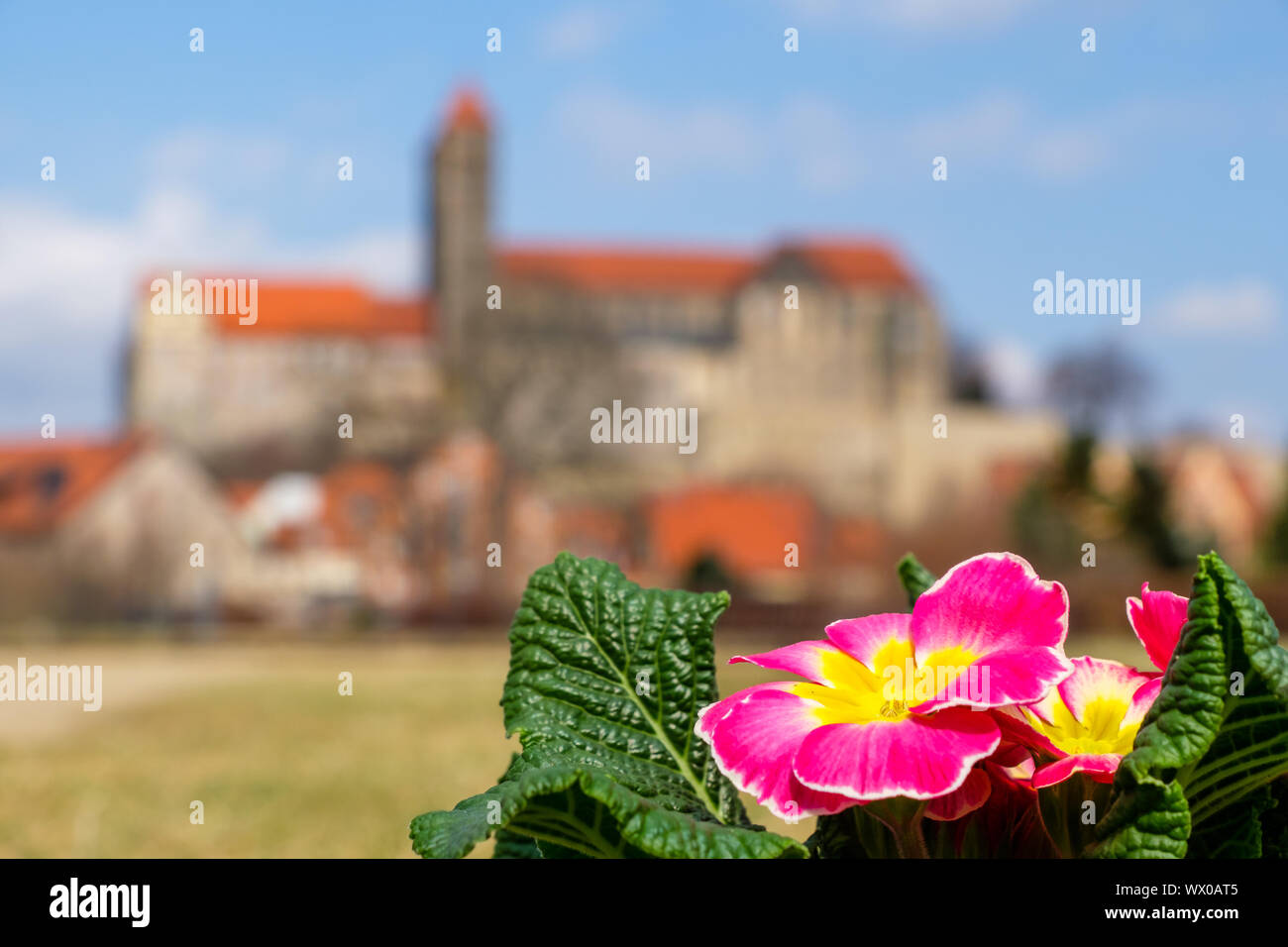 Vista del Castello di Quedlinburg in primavera Foto Stock