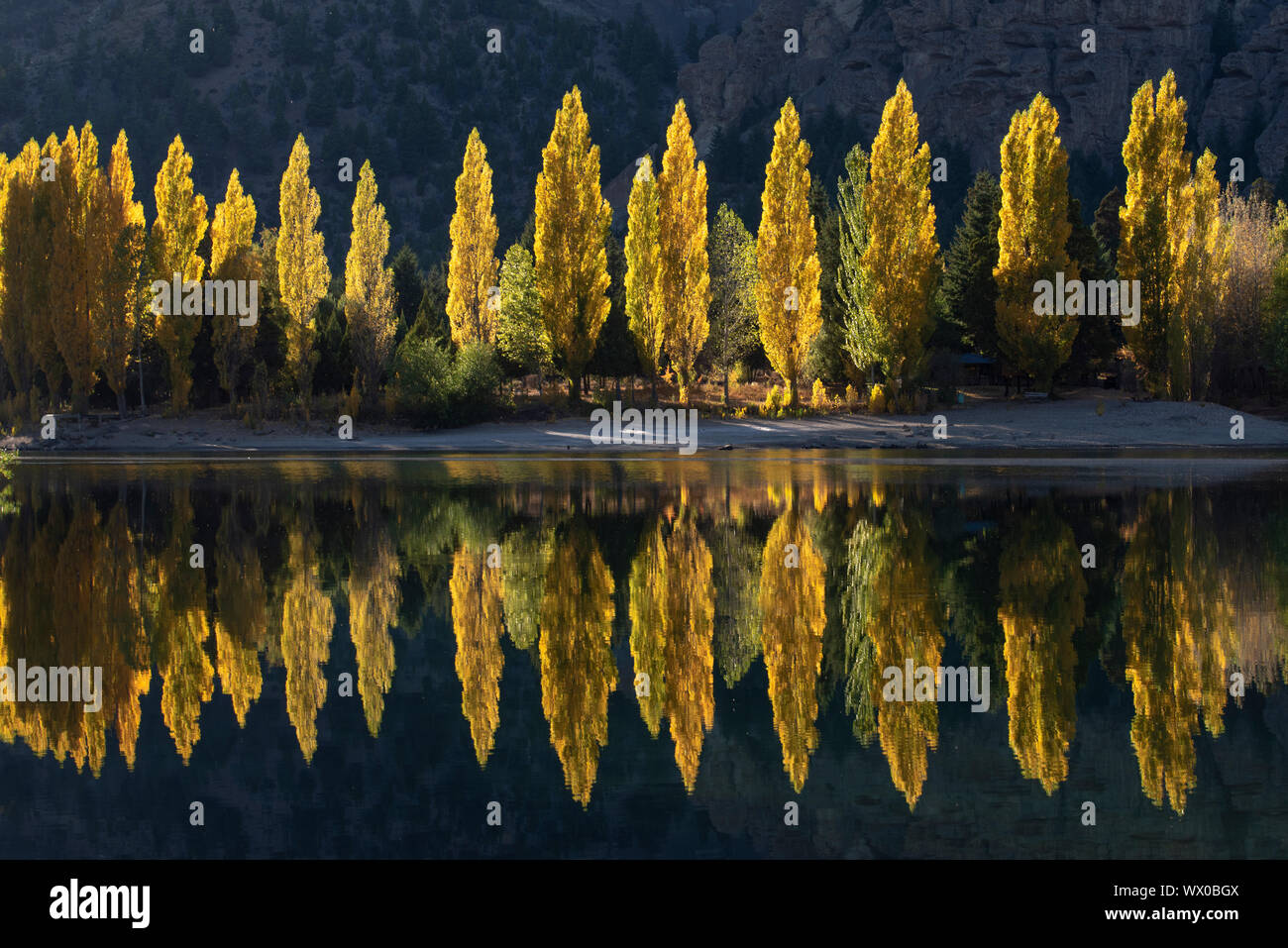 Una fila di alberi di pioppo riflessa nei colori autunnali, San Carlos de Bariloche, Patagonia, Argentina, Sud America Foto Stock Una fila di alberi di pioppo riflessa nei colori autunnali, San Carlos de Bariloche, Patagonia, Argentina, Sud America Foto Stock