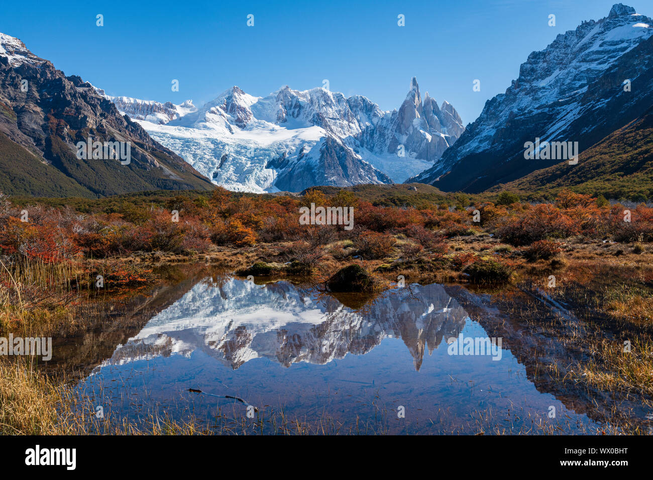 I colori autunnali nel parco nazionale Los Glaciares, Sito Patrimonio Mondiale dell'UNESCO, con riflessioni di Cerro Torro, Patagonia, Argentina, Sud America Foto Stock