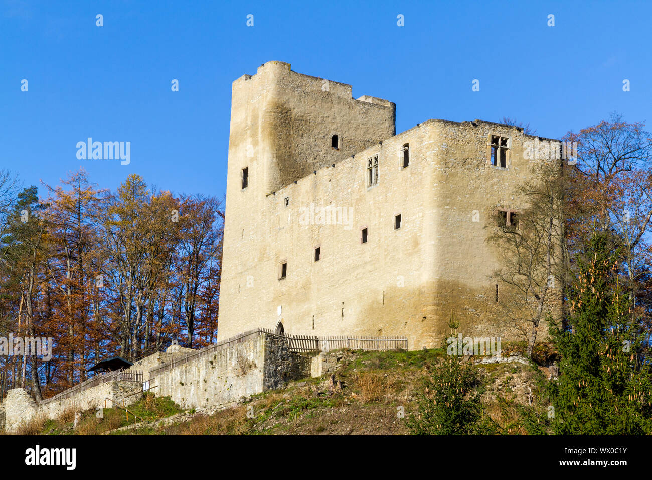 Vista del castello rovina Liebenstein Foto Stock