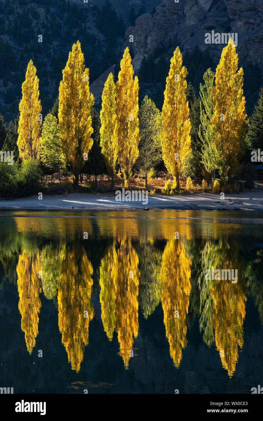 La riflessione di pioppo in colori autunnali, San Carlos de Bariloche, Patagonia, Argentina, Sud America Foto Stock La riflessione di pioppo in colori autunnali, San Carlos de Bariloche, Patagonia, Argentina, Sud America Foto Stock