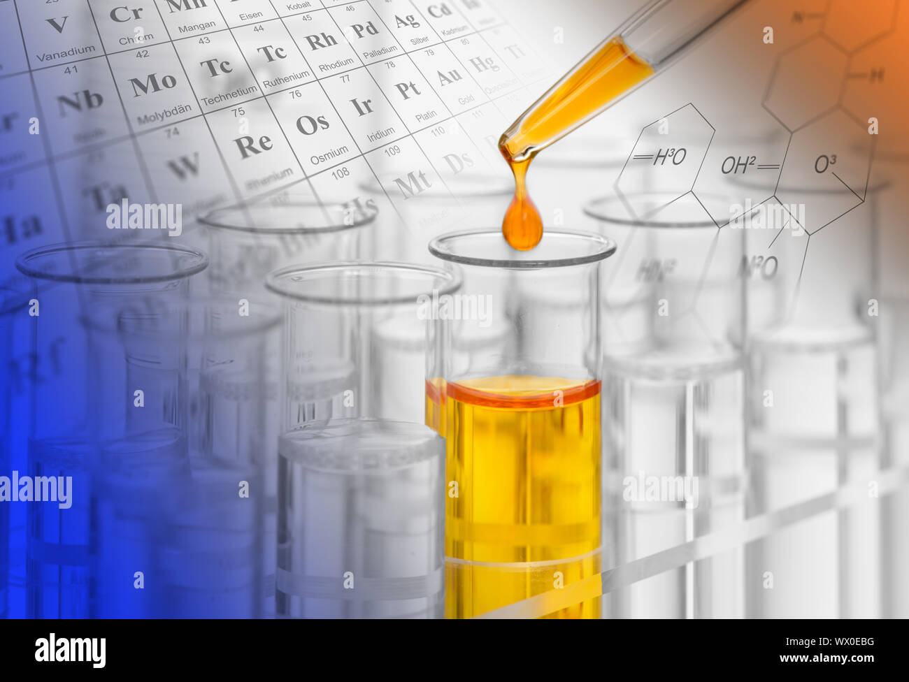 Esperimento di laboratorio di chimica e biologia Foto Stock