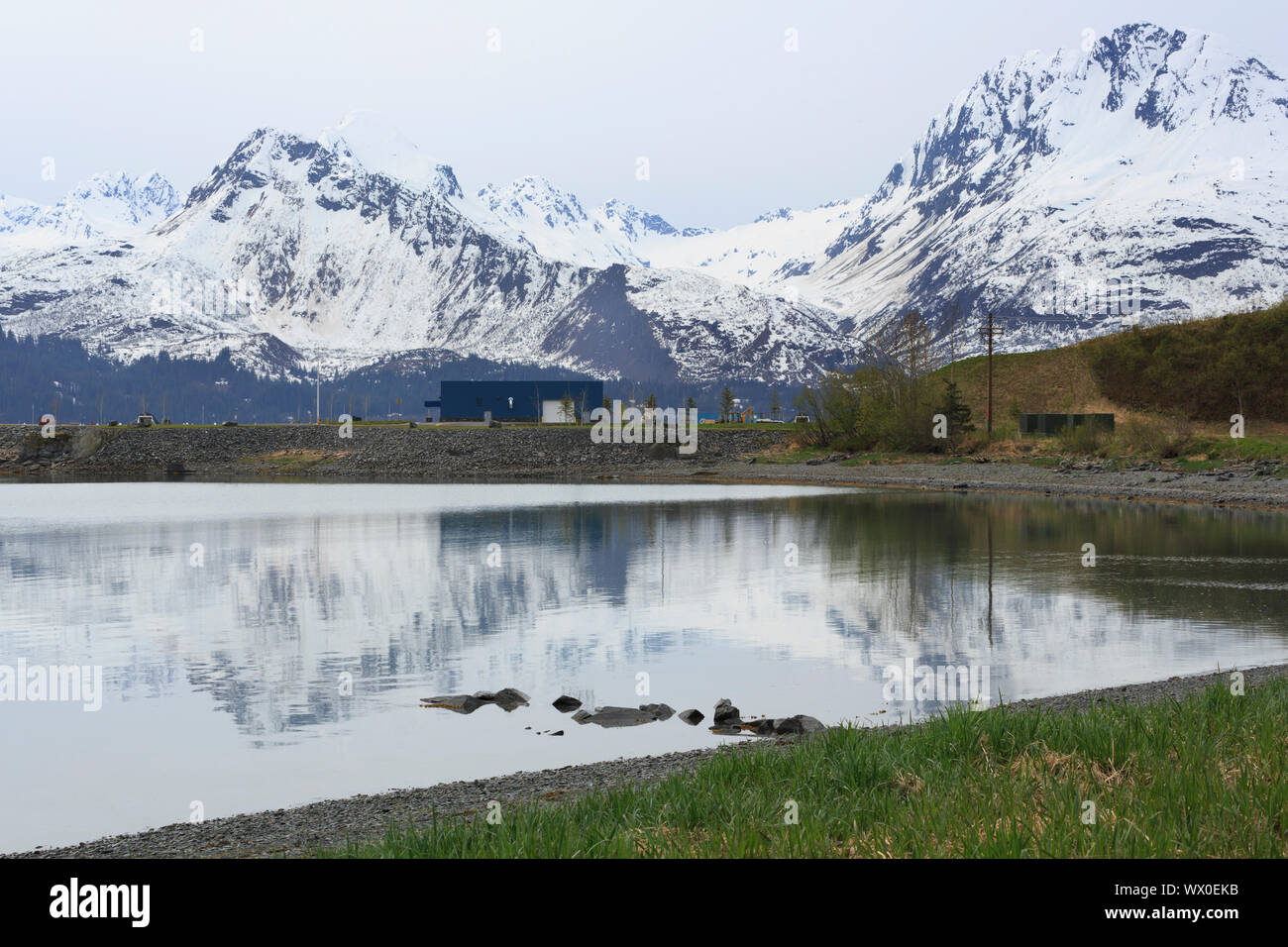 Porto di Valdez, Prince William Sound, Alaska, Stati Uniti d'America, America del Nord Foto Stock