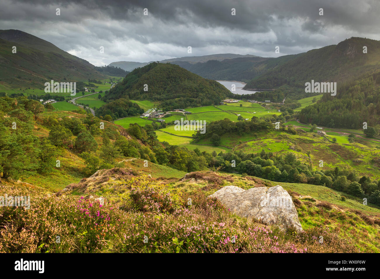 Vista sud di Thirlmere da Wren roccioso, Parco Nazionale del Distretto dei Laghi, Sito Patrimonio Mondiale dell'UNESCO, Cumbria, England, Regno Unito, Europa Foto Stock