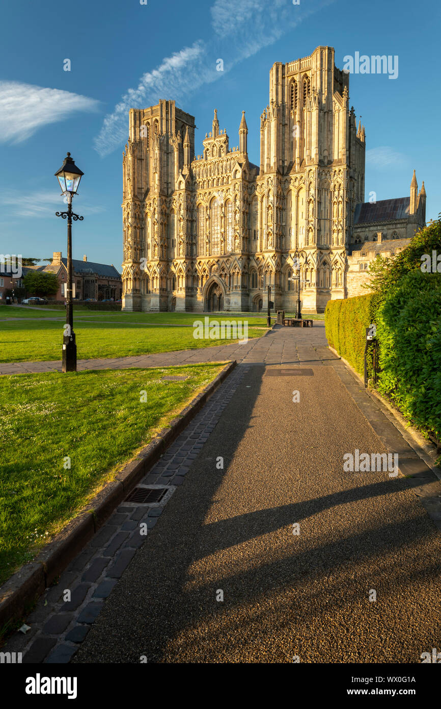 Cattedrale di Wells in sera la luce solare, pozzi, Somerset, Inghilterra, Regno Unito, Europa Foto Stock