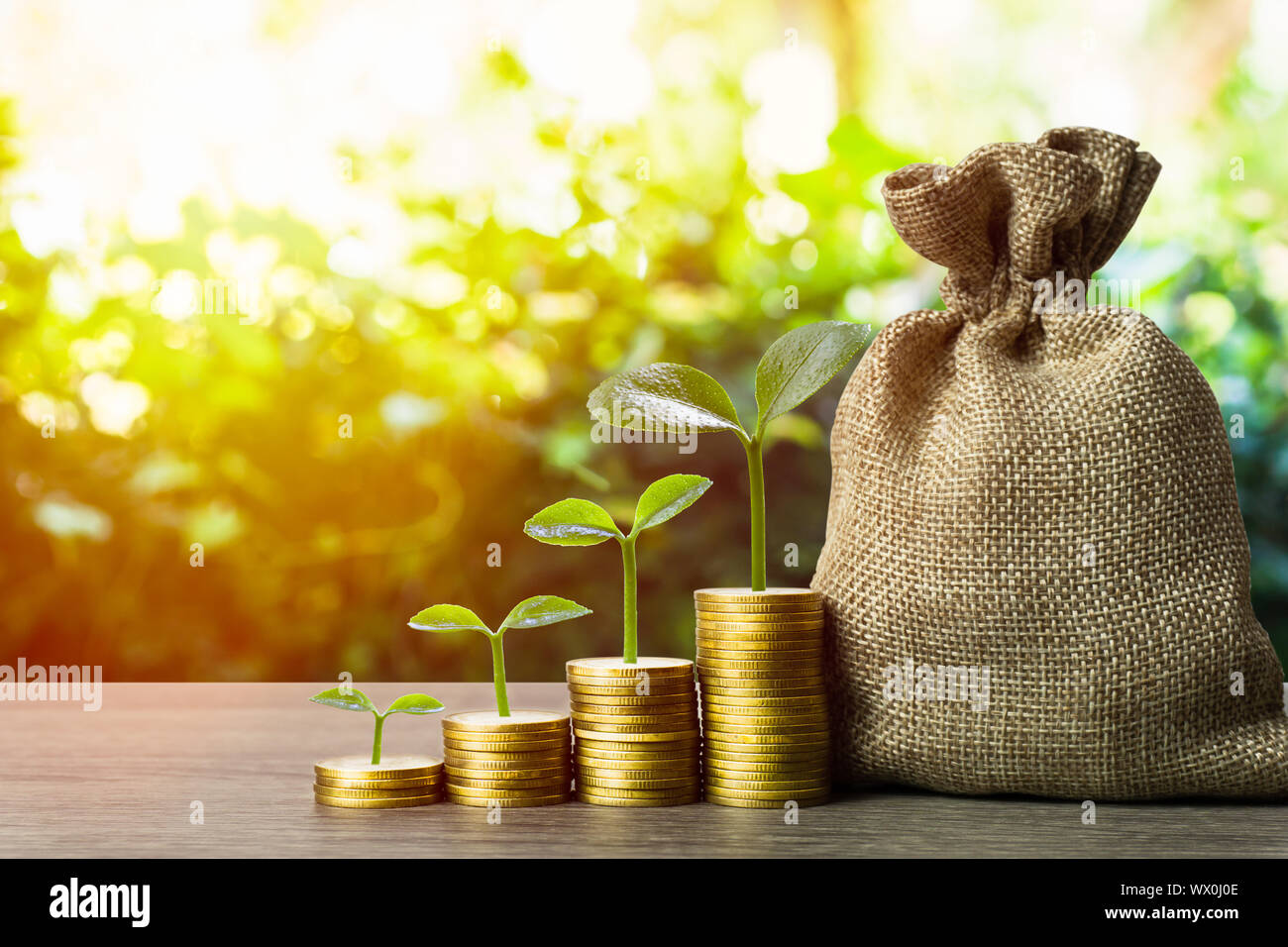 Fare soldi e investimenti di denaro, il concetto di risparmio. Una pianta che cresce su stack ascendente di monete con il sacco di denaro e la natura dello sfondo. Mostra a lungo termine i Foto Stock