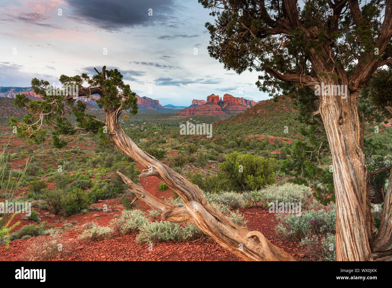 Cattedrale Rock, Sedona, in Arizona, Stati Uniti d'America, America del Nord Foto Stock