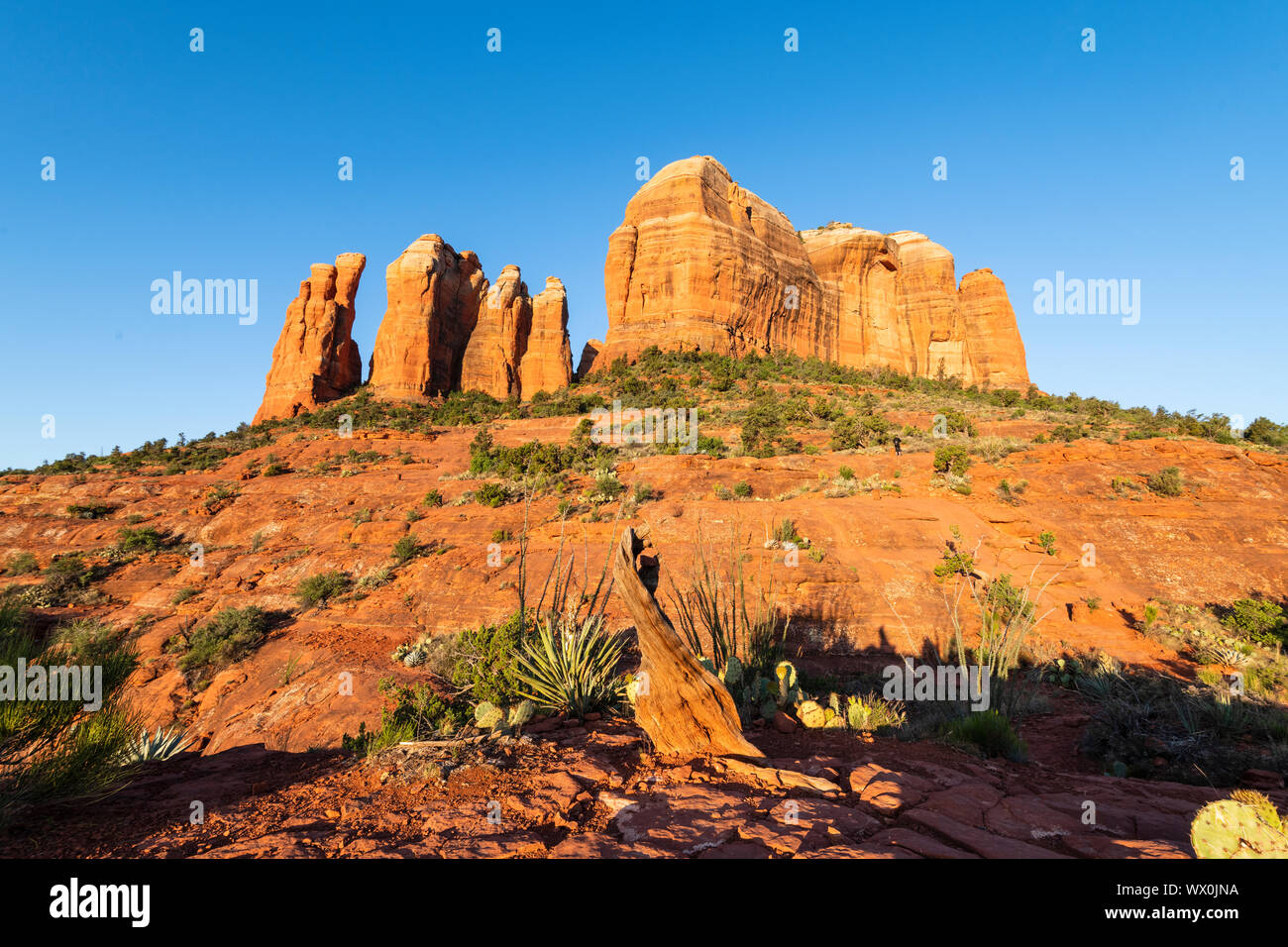 Cattedrale Rock, Sedona, in Arizona, Stati Uniti d'America, America del Nord Foto Stock