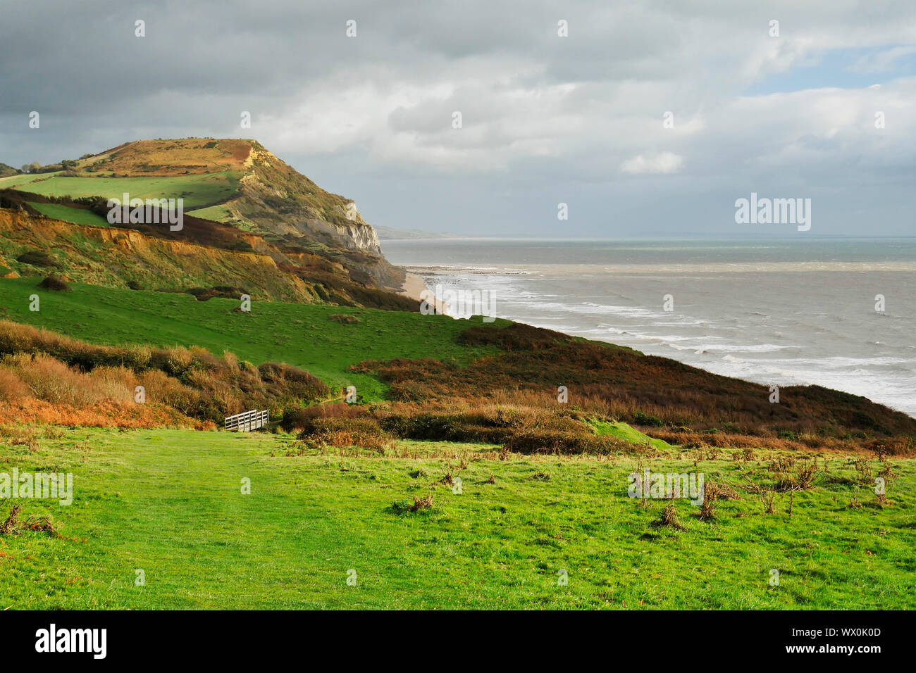 Il sentiero costiero di Golden Cap nel Dorset. Foto Stock