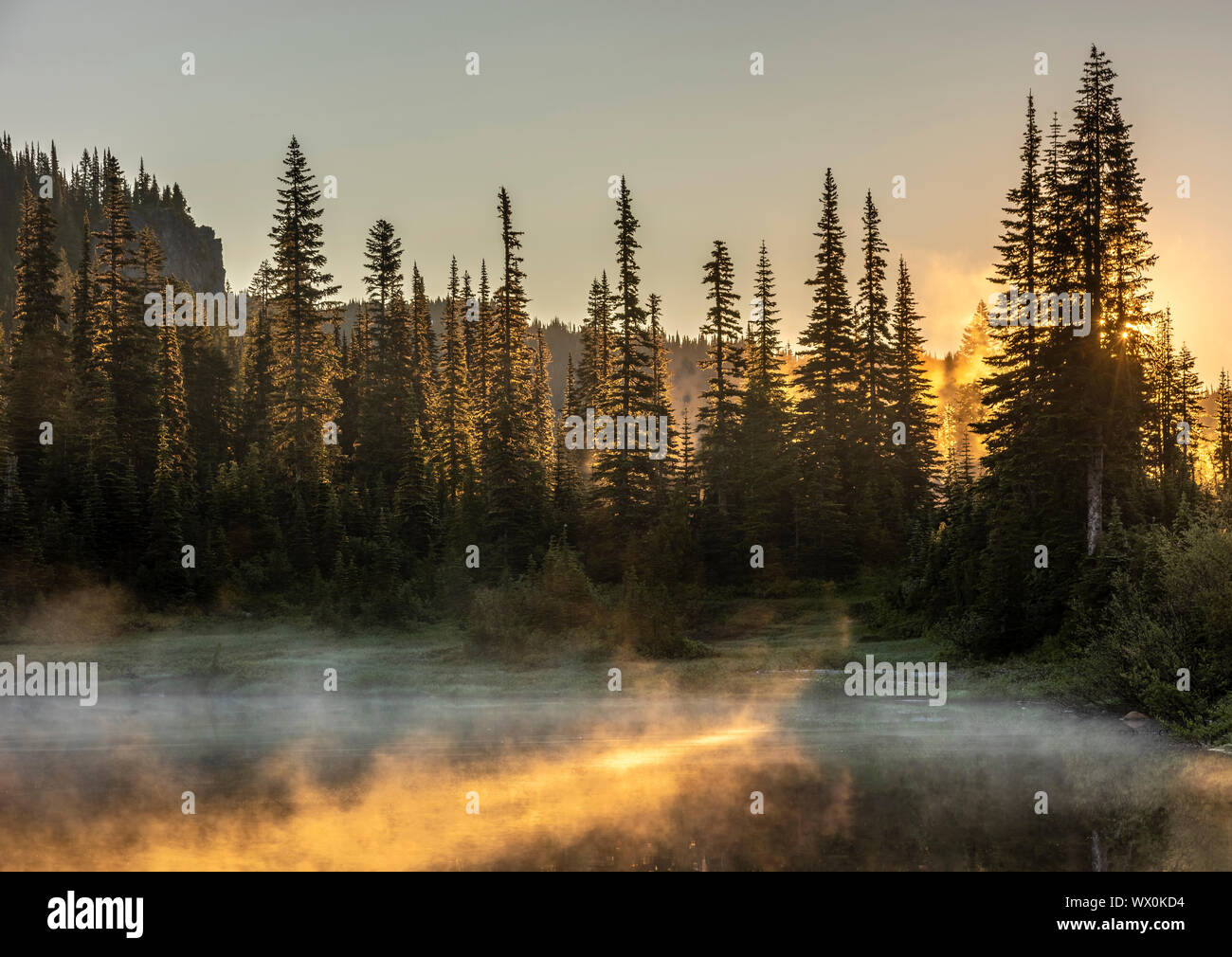 Luce del sole di mattina e la nebbia, riflessione Lake, il Parco Nazionale del Monte Rainier, nello Stato di Washington, Stati Uniti d'America, America del Nord Foto Stock
