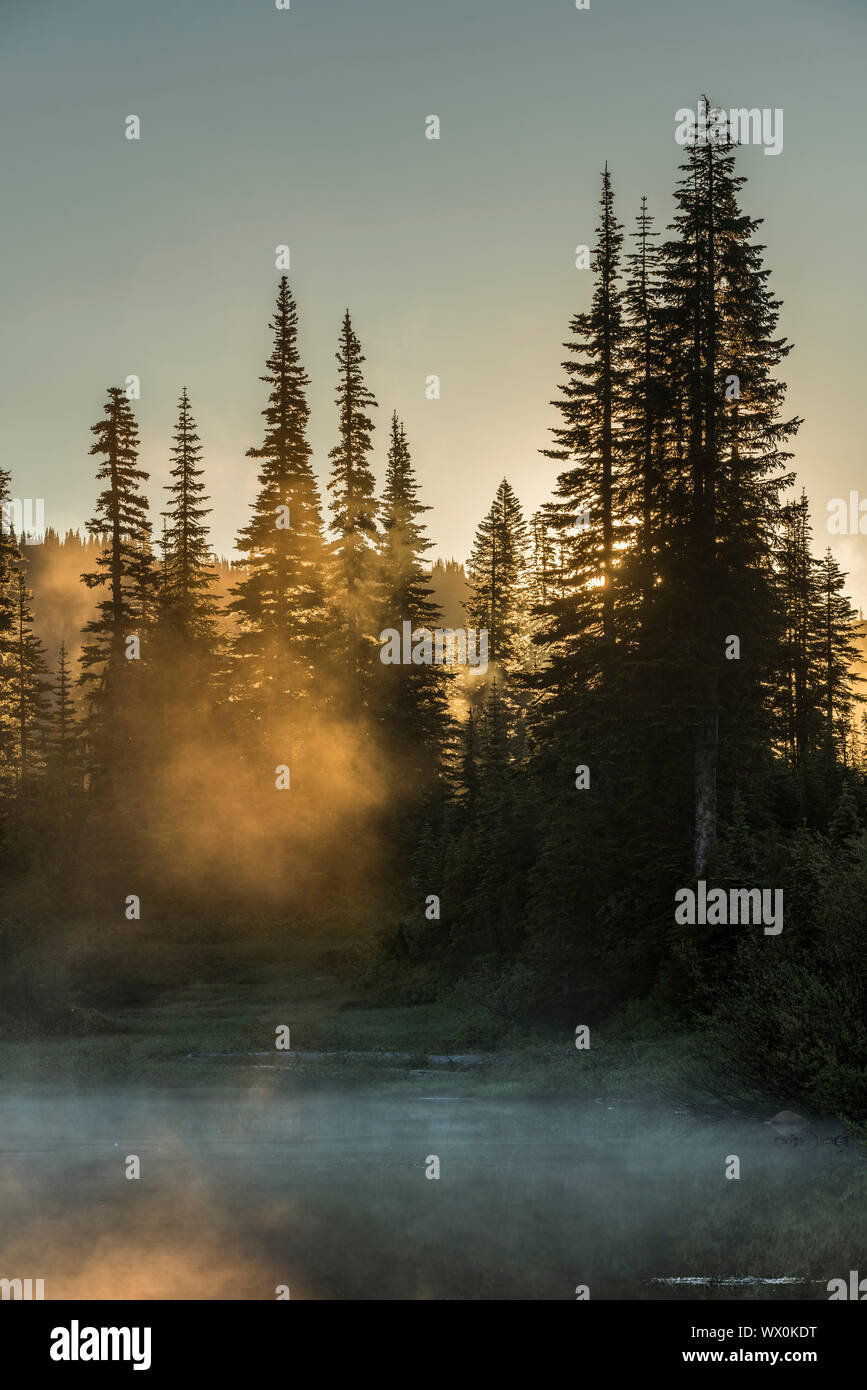 Luce del sole di mattina e la nebbia, riflessione Lake, il Parco Nazionale del Monte Rainier, nello Stato di Washington, Stati Uniti d'America, America del Nord Foto Stock