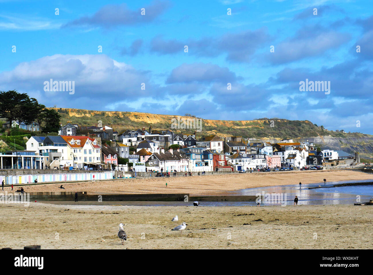 Vista di Lyme Regis nel Dorset. Foto Stock