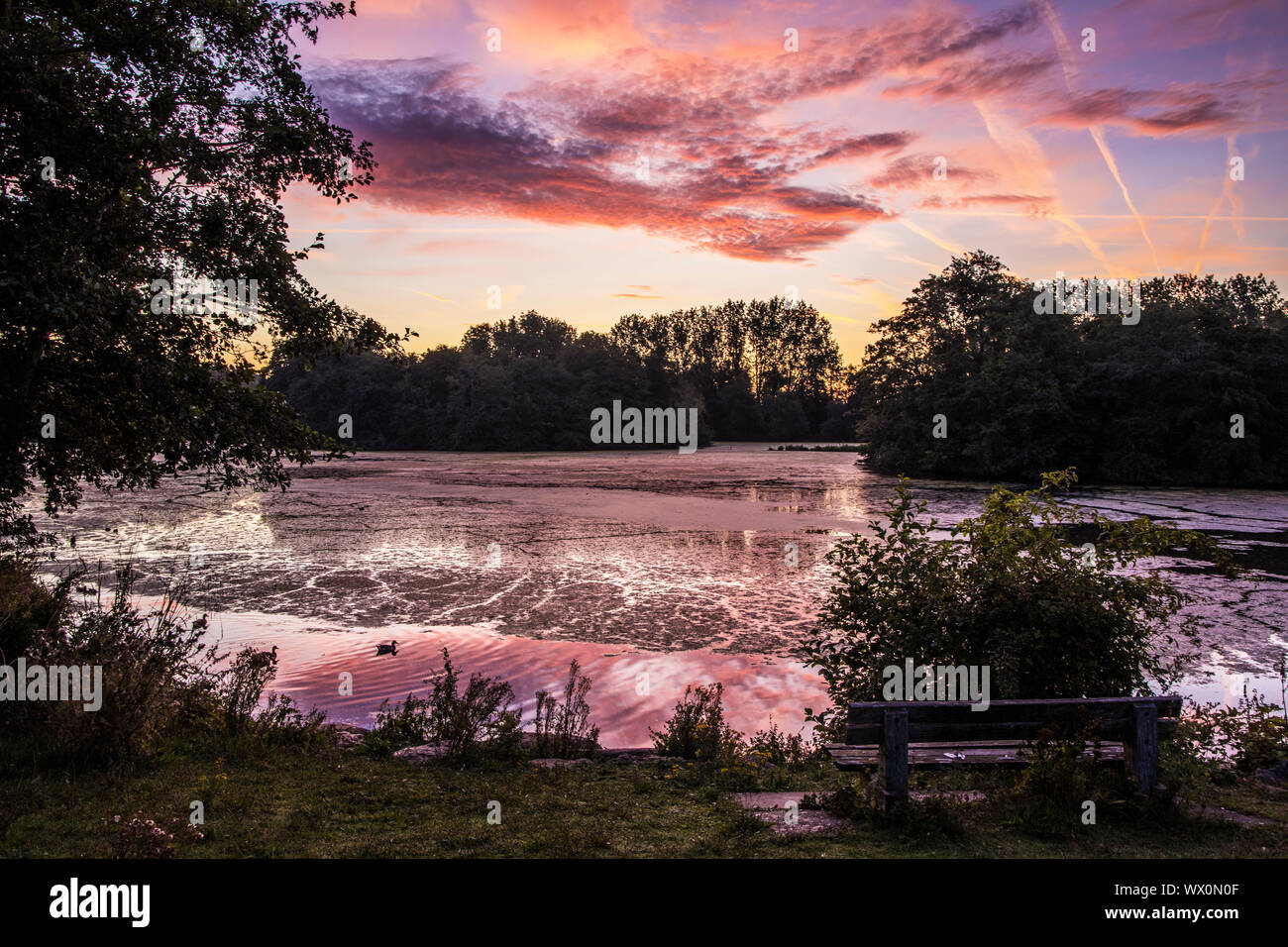 Tramonto su un piccolo lago noto come Liden Lagoon a Swindon, Wiltshire. Foto Stock