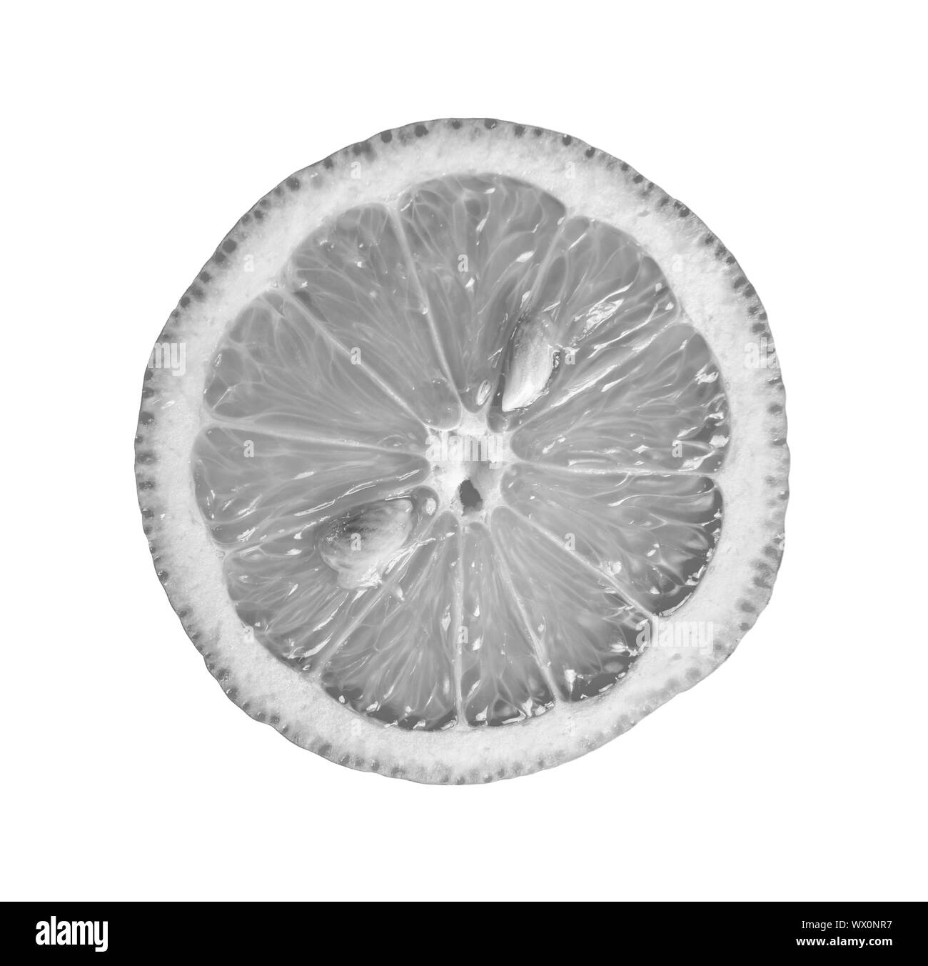 In bianco e nero. il limone, fetta, isolato, agrumi, tagliare, dieta, esotici, cibo, fresche, frutta succosa, natur Foto Stock
