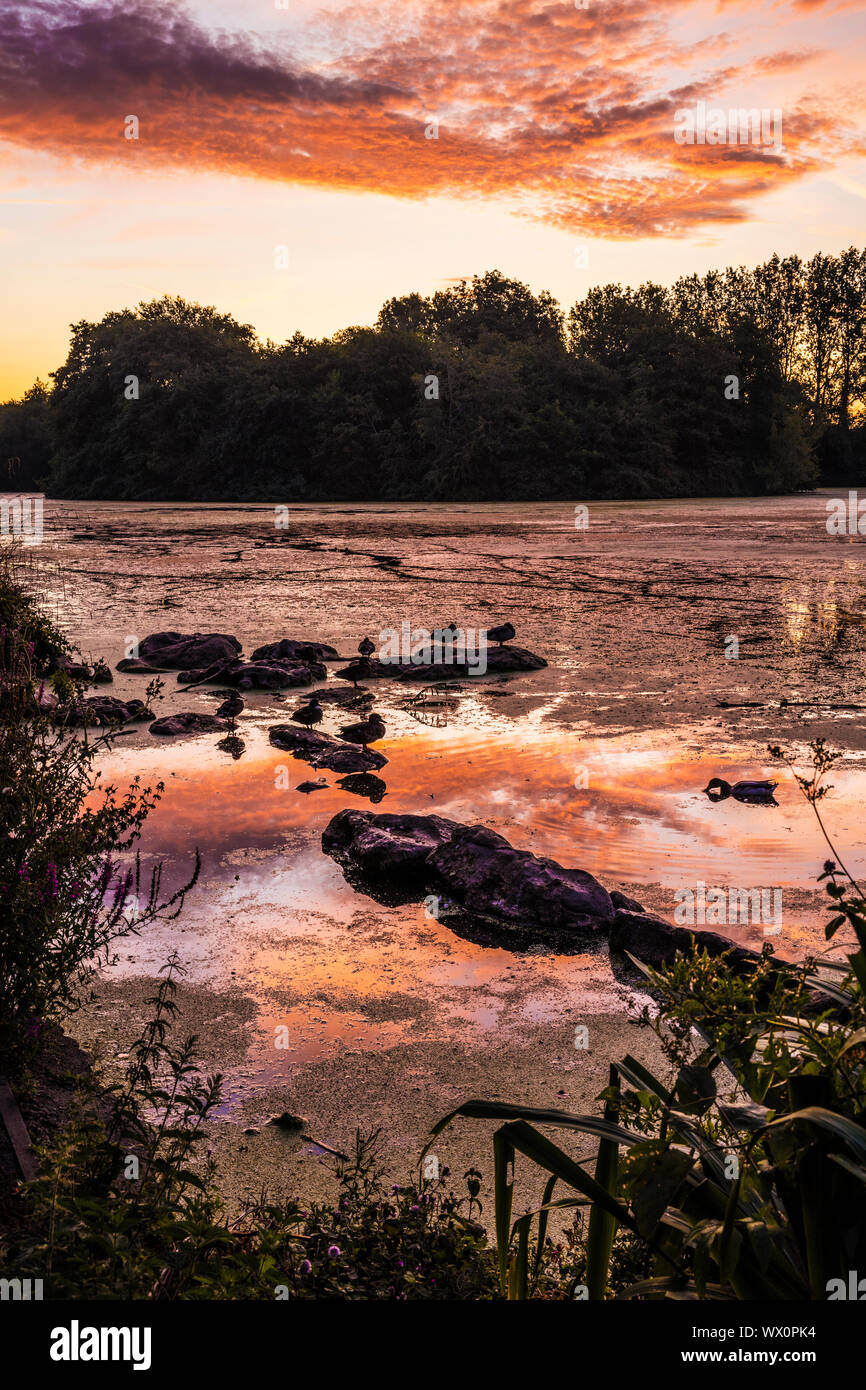 Tramonto su un piccolo lago noto come Liden Lagoon a Swindon, Wiltshire. Foto Stock