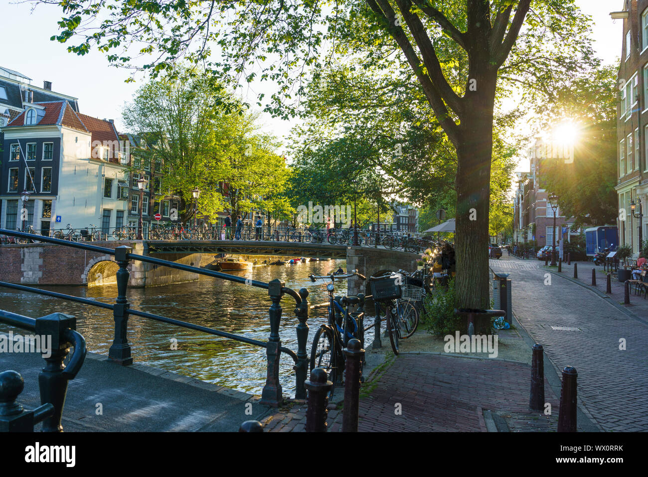 Golden ore di luce, Brouwersgracht Canal, Amsterdam, Olanda Settentrionale, Paesi Bassi, Europa Foto Stock