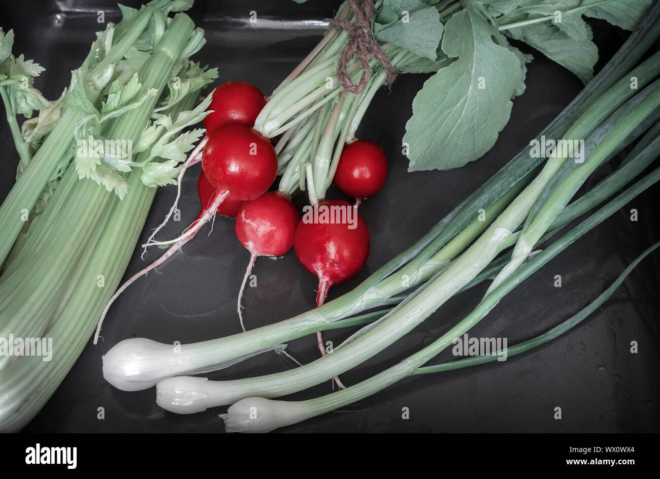 Ortaggi sani: ravanelli, il sedano e le cipolle verdi. Foto Stock