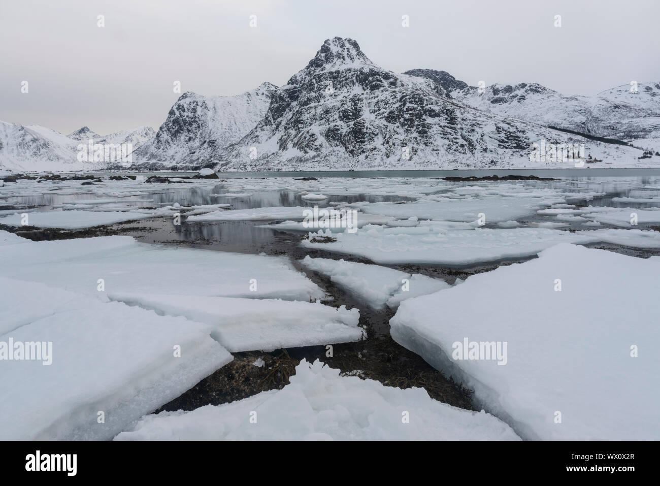 Rotto il ghiaccio e montagne coperte di neve, Isole Lofoten, Nordland, artiche, Norvegia, Europa Foto Stock