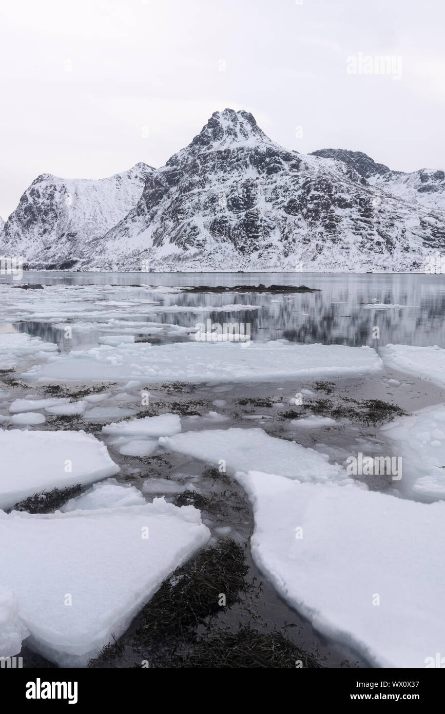 Formazioni di ghiaccio e montagne coperte di neve, Isole Lofoten, Nordland, artiche, Norvegia, Europa Foto Stock