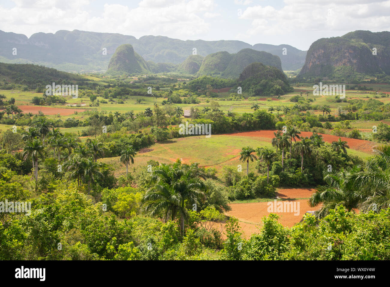 Vista della bellissima Valle di Vinales, Sito Patrimonio Mondiale dell'UNESCO, Cuba, West Indies, dei Caraibi e America centrale Foto Stock