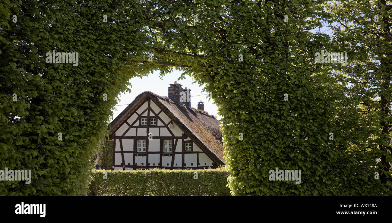 Casa in legno e muratura dietro metro-alta siepe di faggio con archway, Monschau, Eifel, Germania, Europa Foto Stock