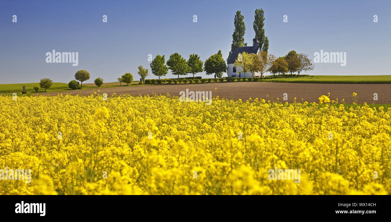 Paesaggio di campo con piccola cappella Heilig-Kreuz-Kapelle, Mertloch, Eifel, Germania, Europa Foto Stock
