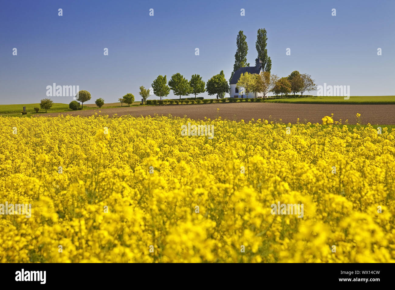 Paesaggio di campo con piccola cappella Heilig-Kreuz-Kapelle, Mertloch, Eifel, Germania, Europa Foto Stock