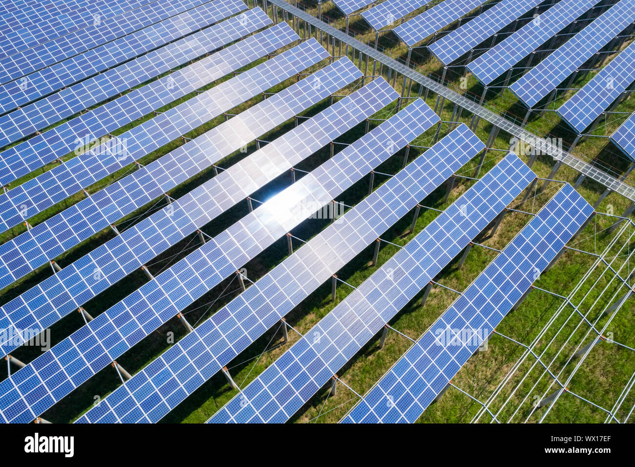 Energia solare farm Foto Stock