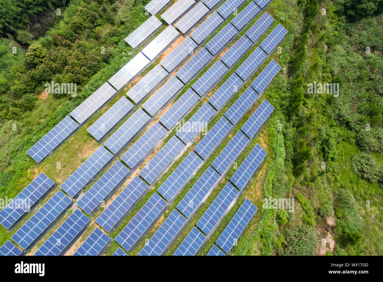 Energia solare dei pannelli sul hillside Foto Stock