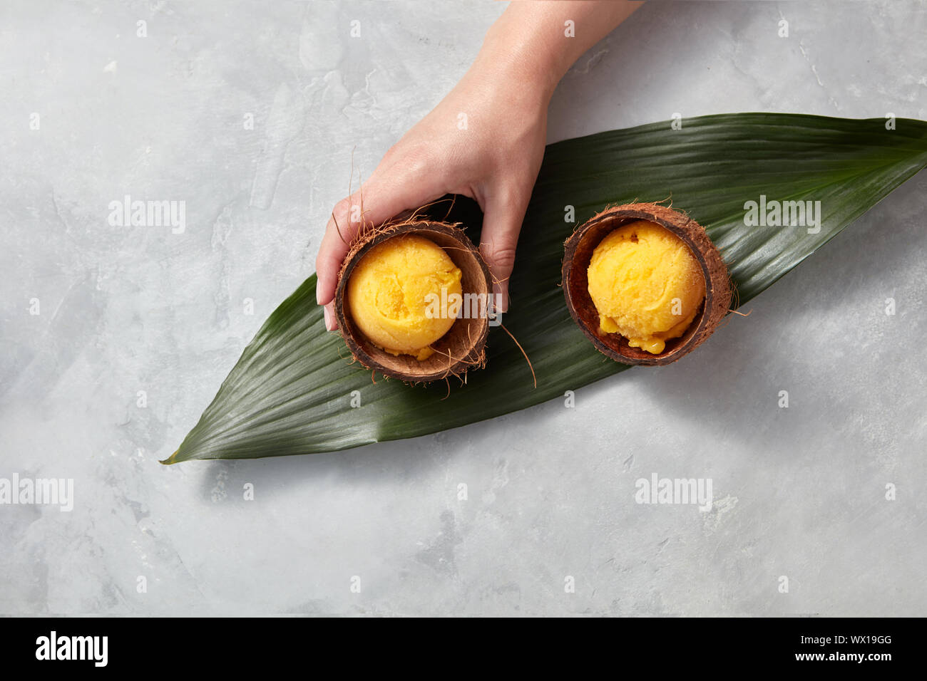 Una ragazza in mano trattiene un guscio di noce di cocco con un sorbetto di mango su una foglia verde su un cemento grigio Sfondo. Vista superiore Foto Stock