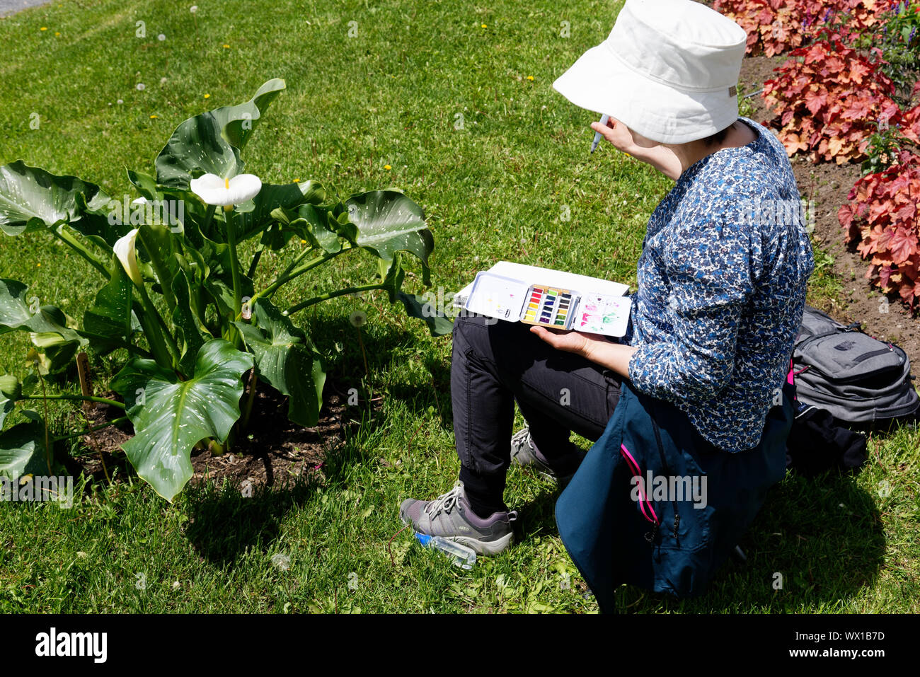 Una signora artista abbozzare un impianto in il giardino botanico di Montreal Foto Stock