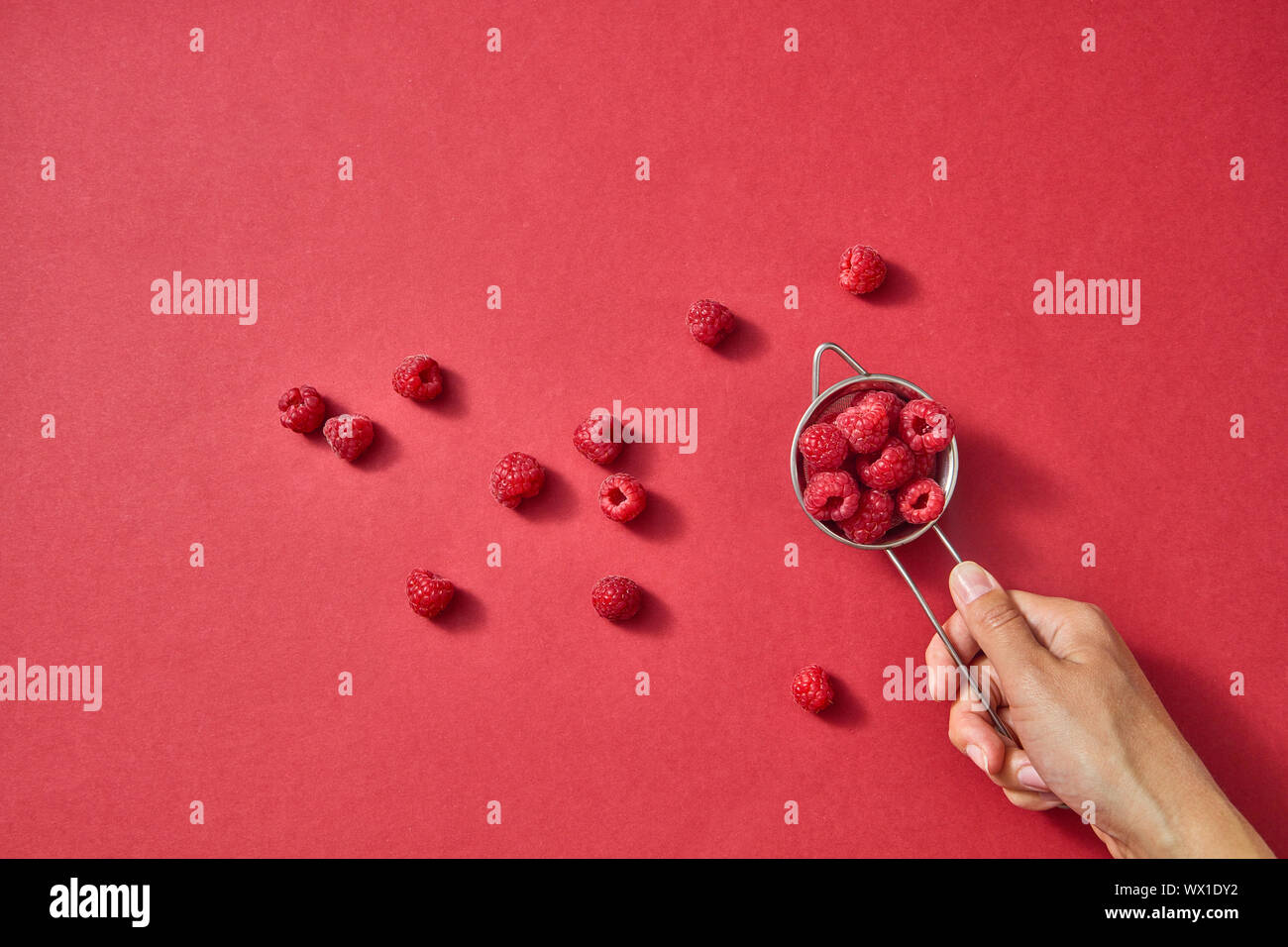 Un womens mano trattiene un colapasta con rosso dolce mature di lampone su una carta di colore rosso con una copia dello spazio. Bacche organiche pattern. Foto Stock