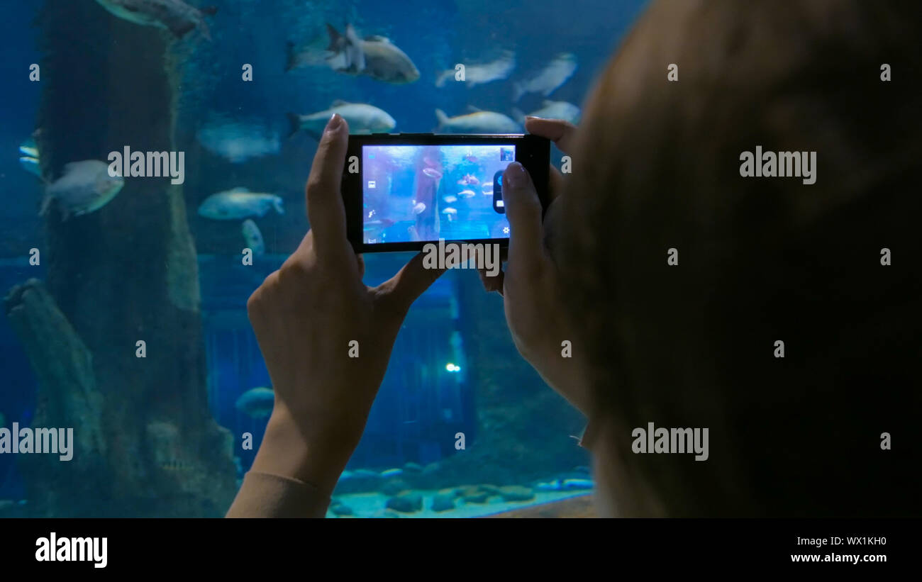 La donna prende la foto in oceanarium Foto Stock
