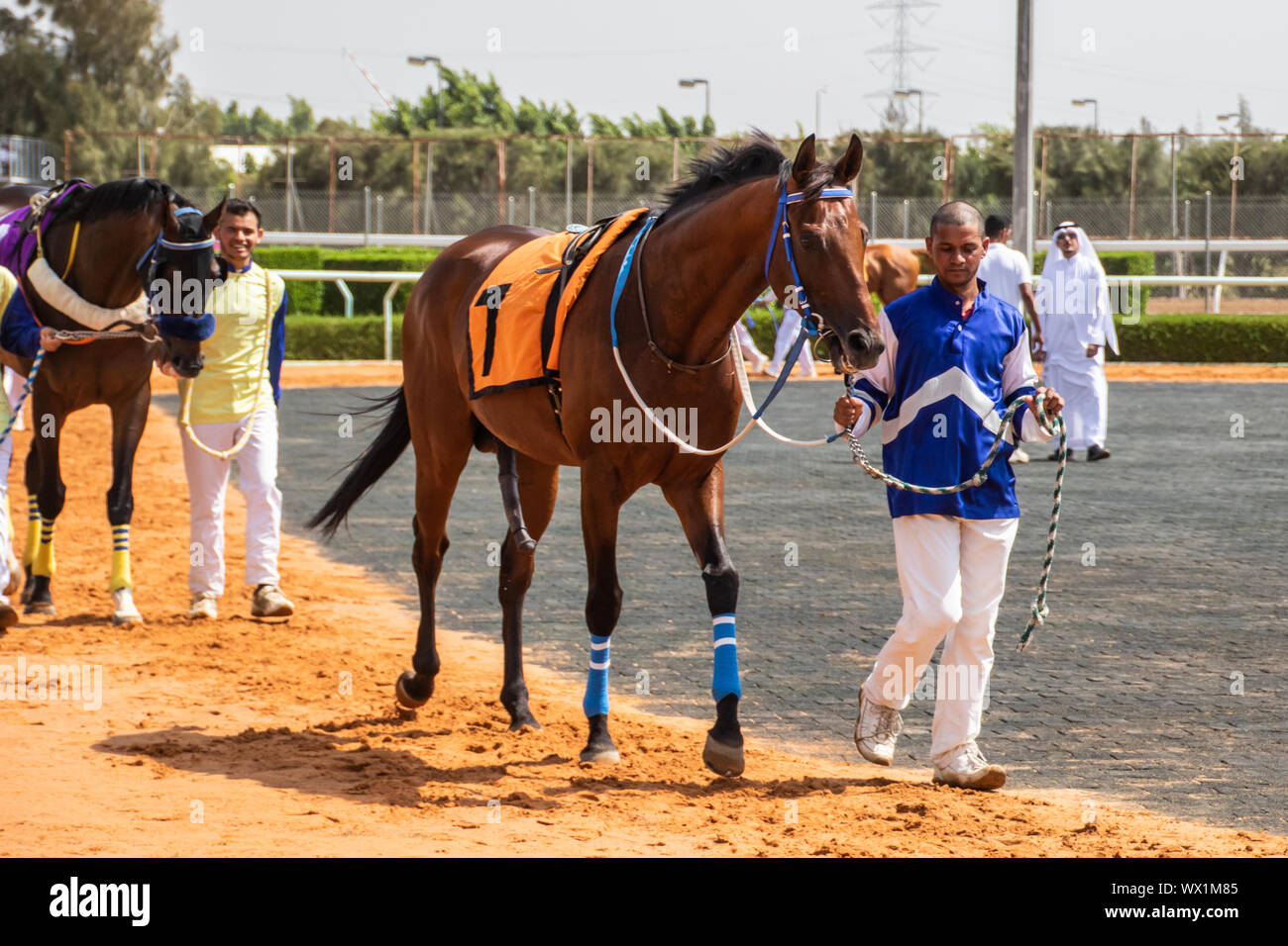 Corse di cavalli al King Khalid Racetrack, Taif, Arabia Saudita 28/06/2019 Foto Stock