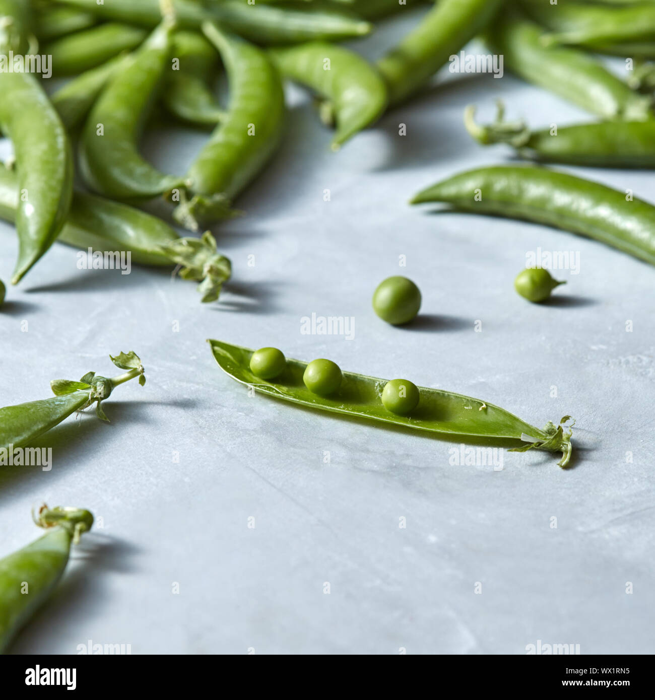 Organici naturali di piselli con baccelli di piselli verdi aperto su uno sfondo grigio. Foto Stock