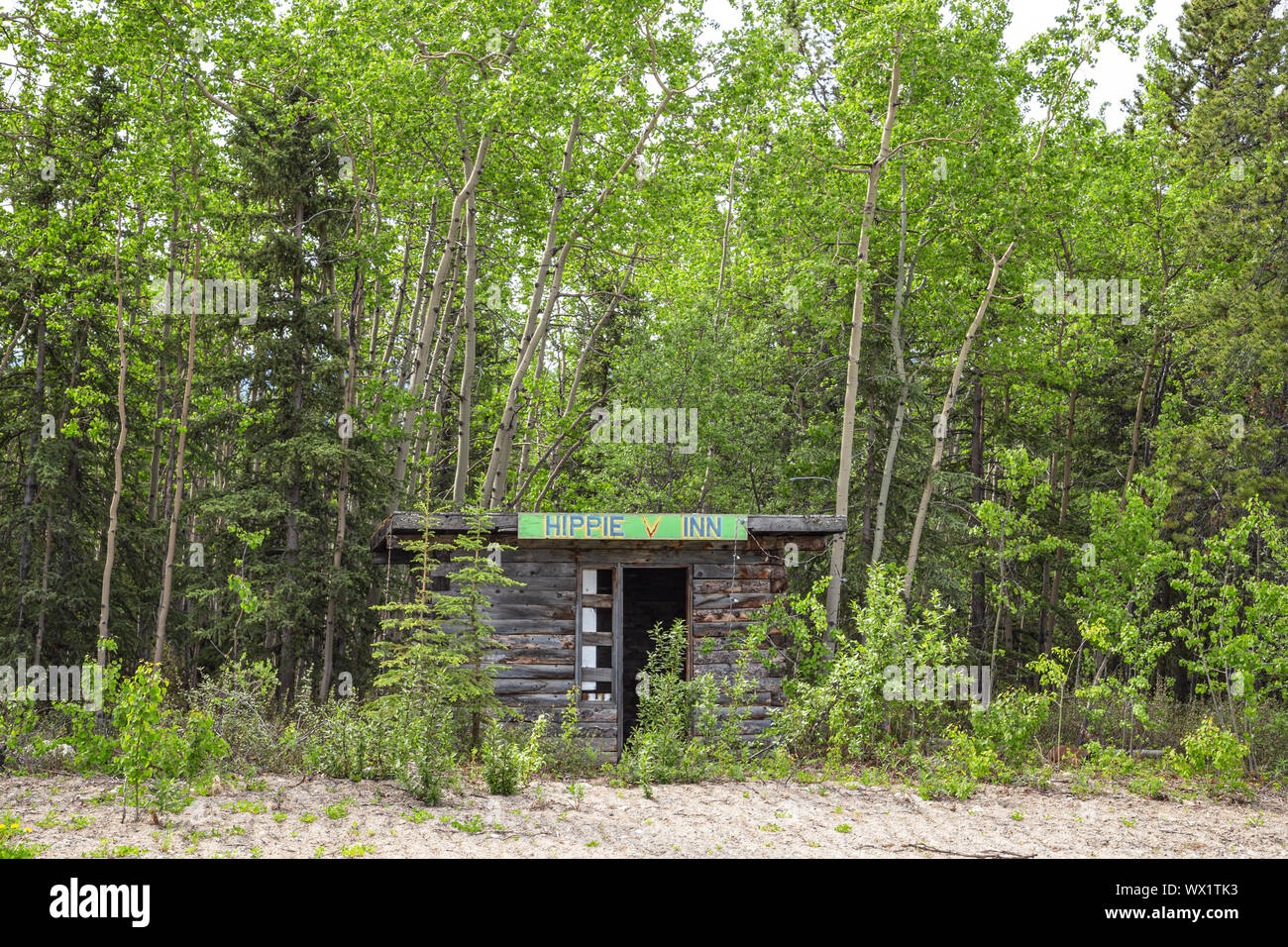 Hippie Inn, struttura abbandonata lungo Alaska Highway in Yukon, Canada Foto Stock