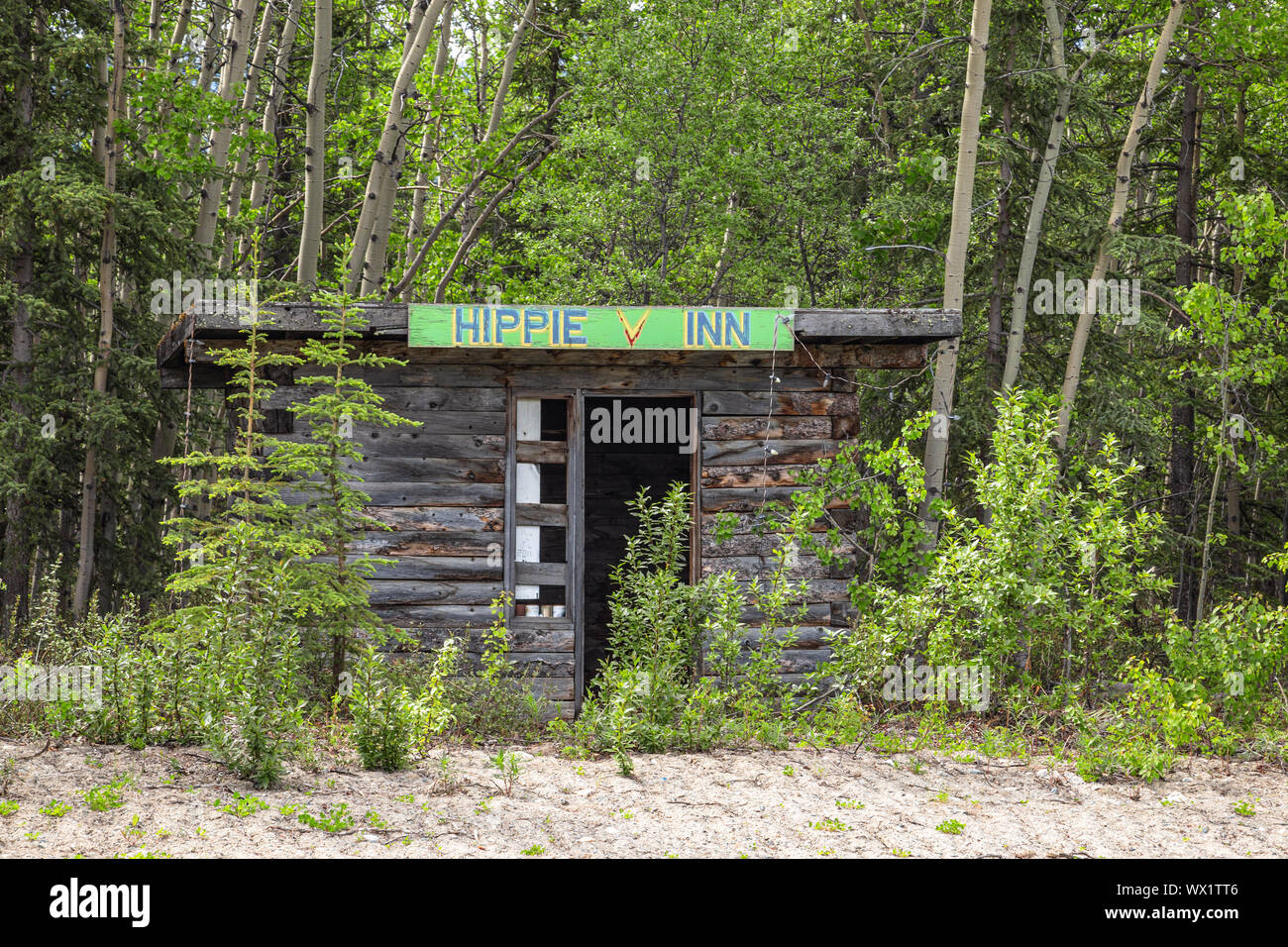 Hippie Inn, struttura abbandonata lungo Alaska Highway in Yukon, Canada Foto Stock