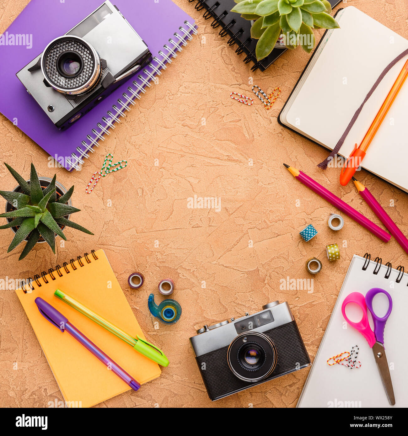 Blocco note e succulente sul tavolo. Il concetto di business. Vista dall'alto. Copia dello spazio. Foto Stock