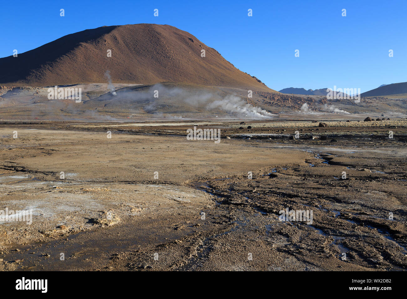 Campo di Geysir El Tatio in Cile Foto Stock Campo di Geysir El Tatio in Cile Foto Stock