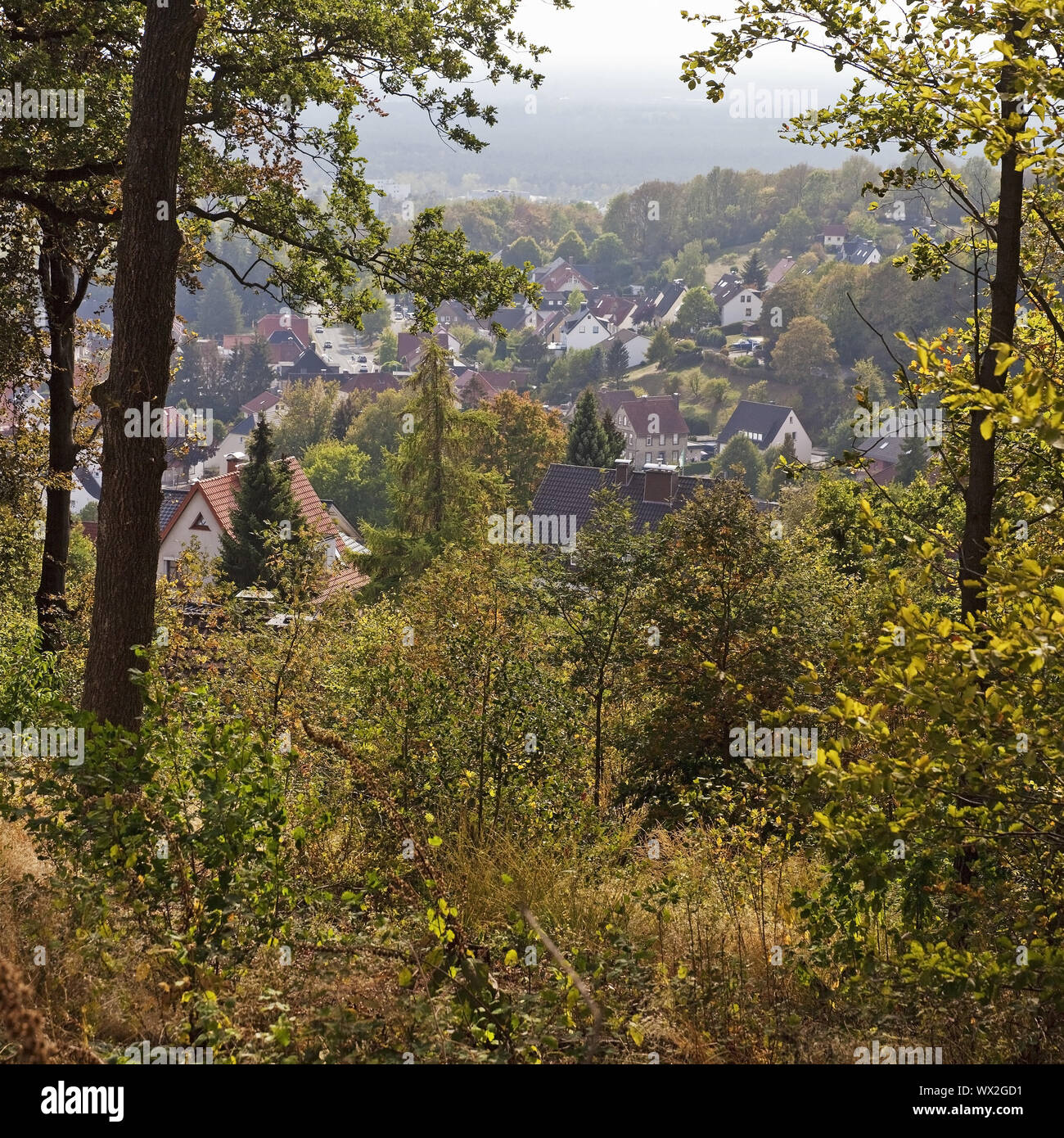 Foresta collinare paesaggio con vista di Oerlinghausen, della Foresta Teutoburg Natura Park, Germania, Europa Foto Stock
