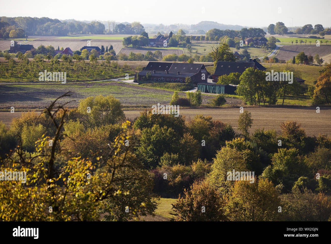 Paesaggio autunnale con campi e boschi, Oelde, Muensterland, Renania settentrionale-Vestfalia, Germania Europa Foto Stock