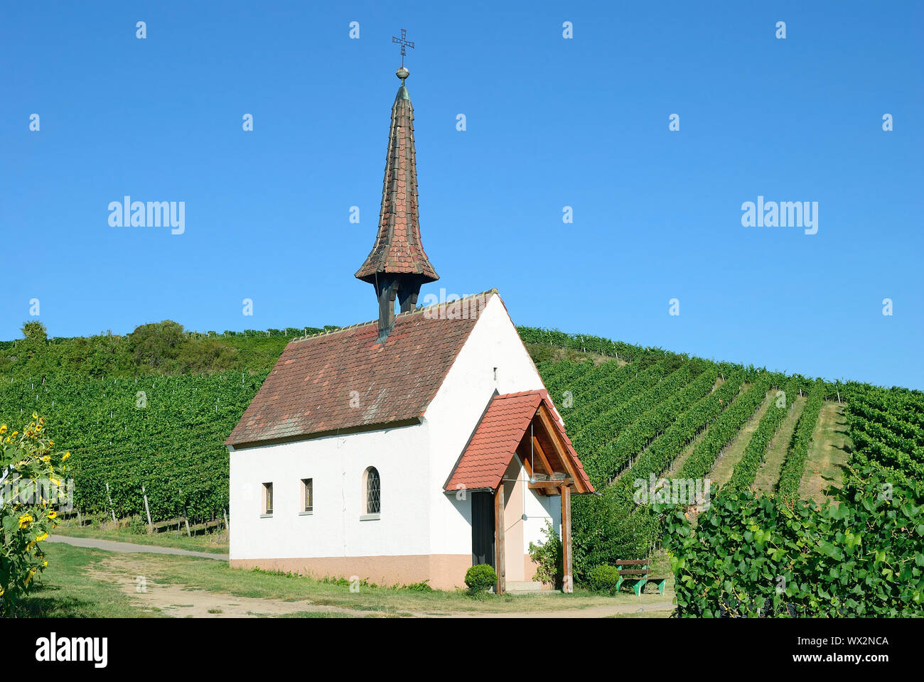 Cappella a Kaiserstuhl regione vinicola vicino Jechtingen,Foresta Nera,Baden-Wuerttemberg,Germania Foto Stock