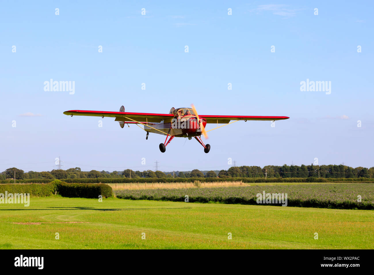 Vintage francese Nord NC-854S aeroplano atterrano su un campo di aviazione d'erba. Foto Stock