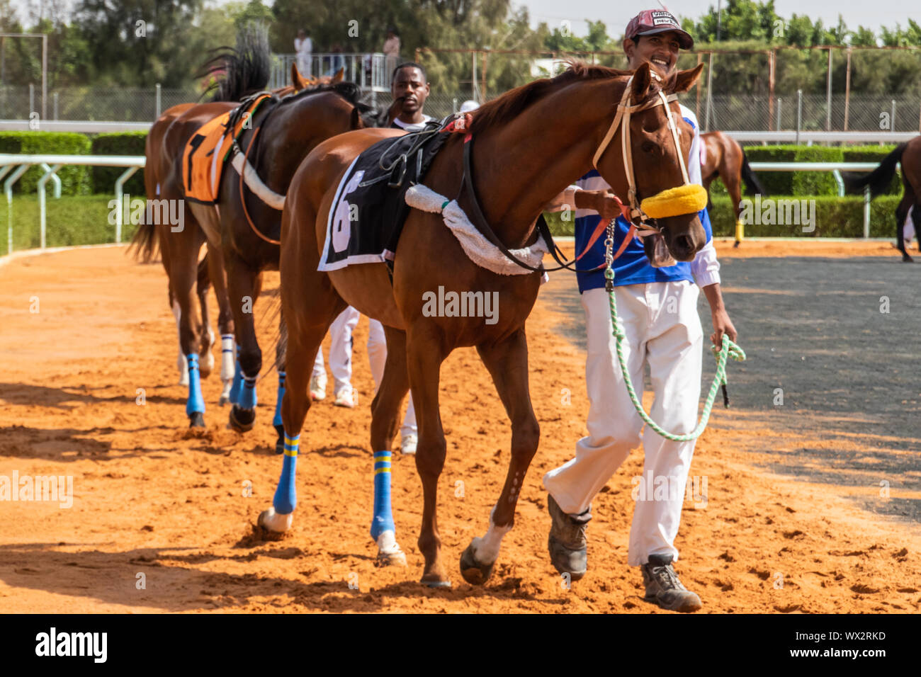 Corse di cavalli al King Khalid Racetrack, Taif, Arabia Saudita 28/06/2019 Foto Stock